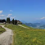 Jochblick By Interhome Apartment Niederau