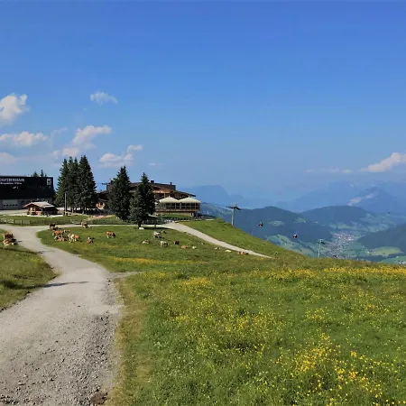 Jochblick By Interhome Appartement Niederau